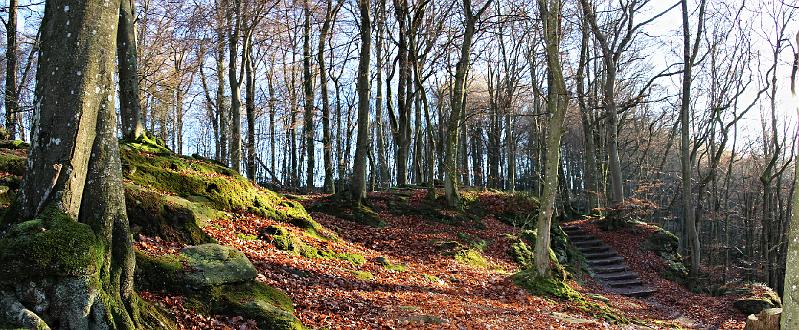 DAG 3 - 14-8-2017_ (153).jpg